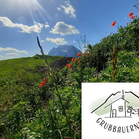 Ferienwohnung Grubbauernhof Aigen im Ennstal Exterior foto