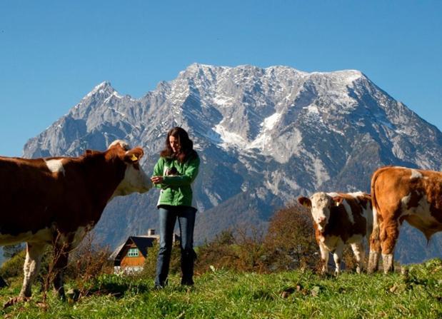 Ferienwohnung Grubbauernhof Aigen im Ennstal Exterior foto
