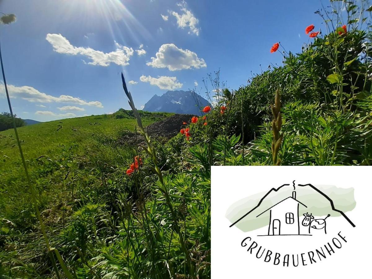Ferienwohnung Grubbauernhof Aigen im Ennstal Exterior foto